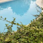 WhatsApp Image 2025-12-10 at 11.08.55