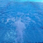 WhatsApp Image 2025-12-10 at 11.09.55 (1)